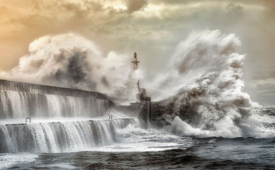 faro10