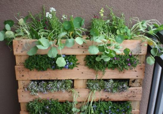 jardin-vertical-palet