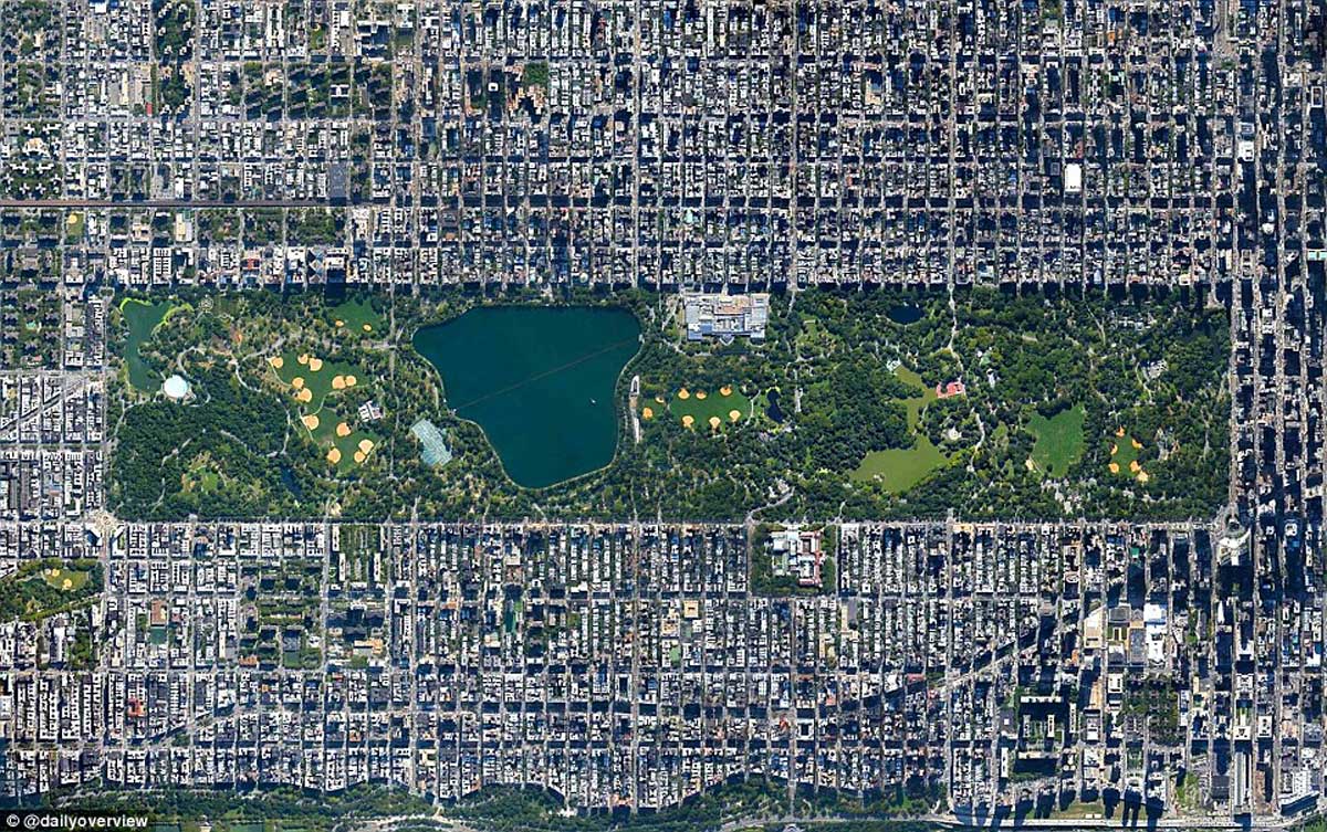 centralparkk