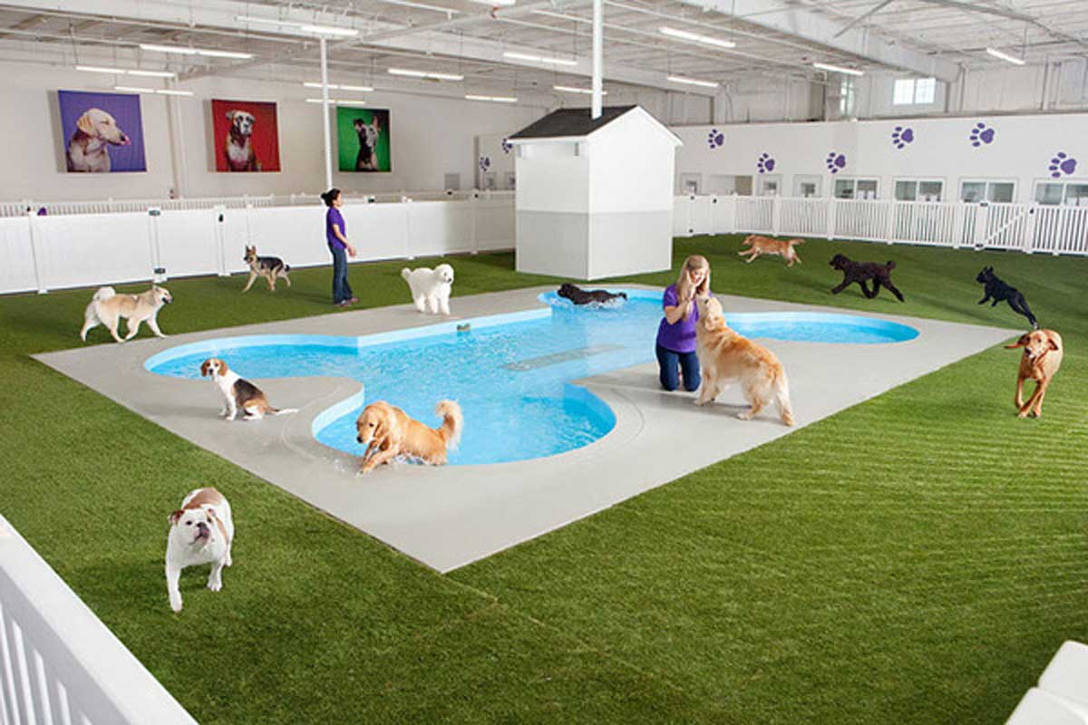 portadaaeropuertoperros