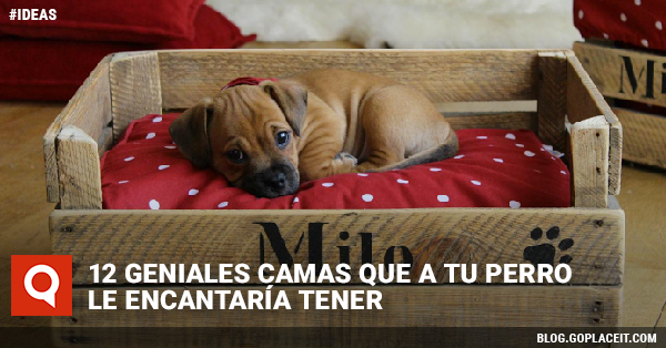 Blog Rect Miércoles 2