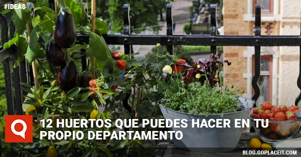 Blog Rect Miércoles