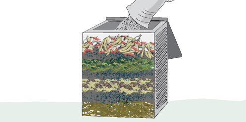compost