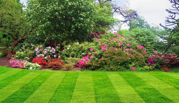 portada jardín