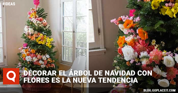 Blog Rect Jueves 17
