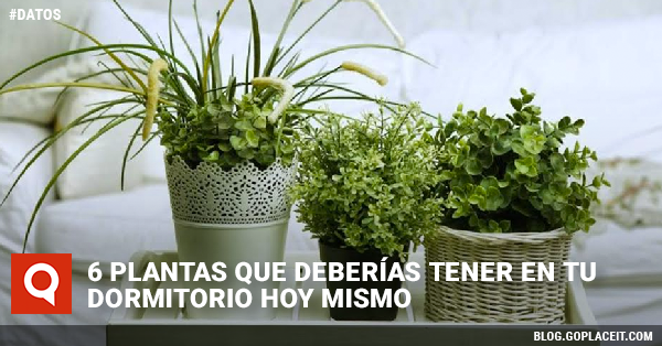 Blog Rect Viernes