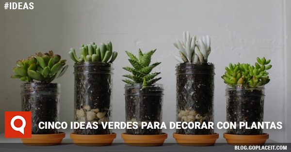 Blog Rect Martes 1