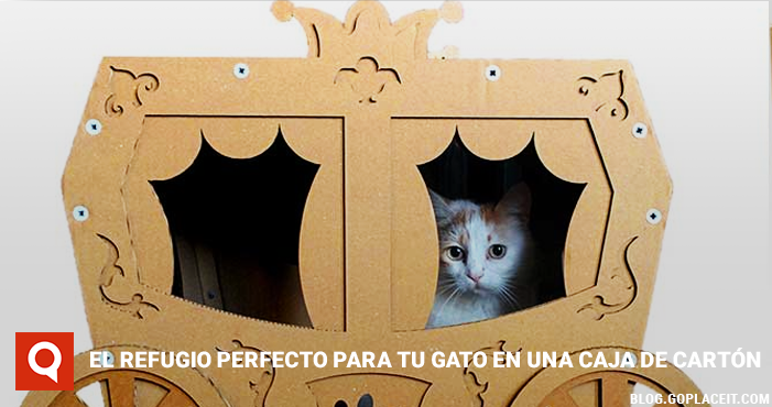 Blog Rect 1 (55)