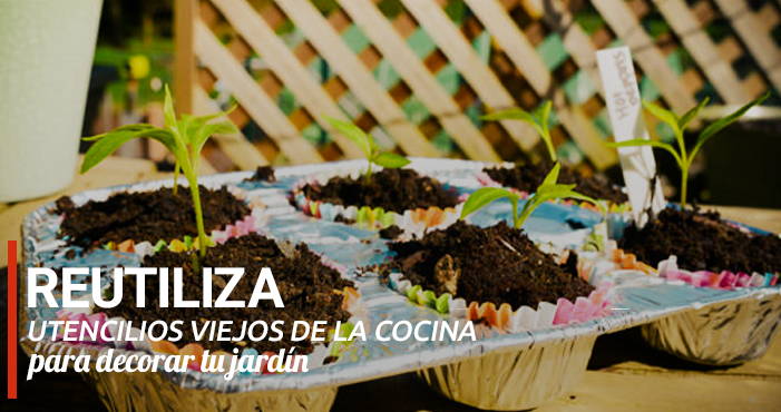 Blog Rect 2 (1)