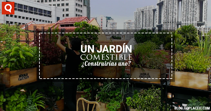 Blog Rect - 1 (2)