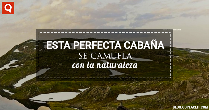 Blog Rect 2 (14)