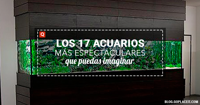 Blog Rect 1 (15)